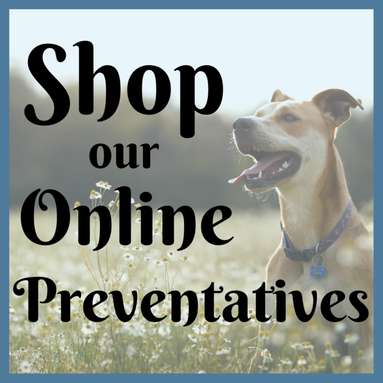 SERVICES FEE LIST Humane Society Of South Carolina services-fee-list-humane-society-of-south-carolina