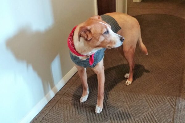 With sympathy, Angie and Alicia