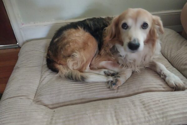 Lady's memorial was donated by Evelyn Clary